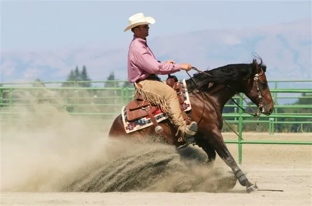 Reining sliding stop